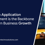 web application